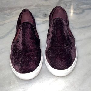 Steve Madden sneakers